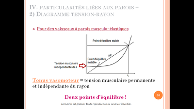 tonus vasomoteur.png