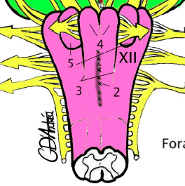 Capture d’écran 2014-02-02 à 14.54.30.png
