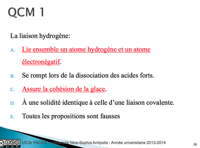 QCM liaison hydrogène.png