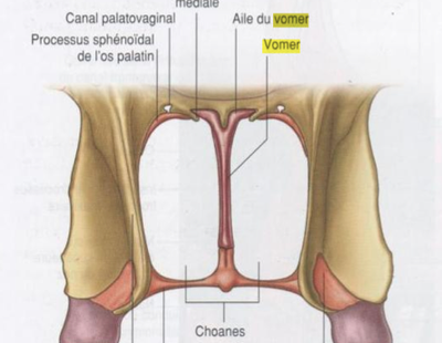 Capture d’écran 2014-02-07 à 17.16.15.png
