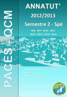 Annatut S2 Spés (page de garde 2013-2014).PNG