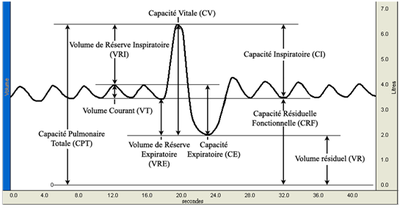 volumes capacités respiratoires.PNG