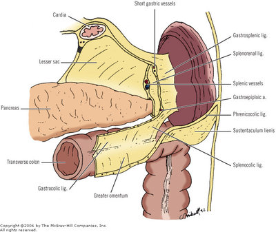 loadBinaryCATIKWB7 (1).jpg