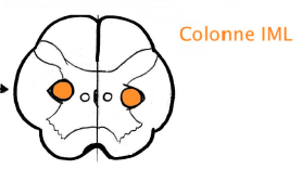 Capture d’écran 2014-02-27 à 14.43.42.png