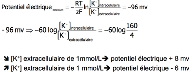 Potentiel électrique.png