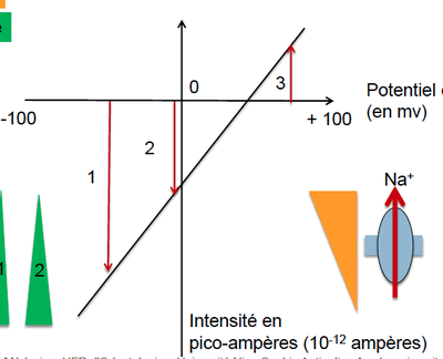 Capture d’écran 2014-02-27 à 22.58.52.png