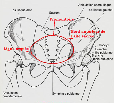 Détroit supérieur.png