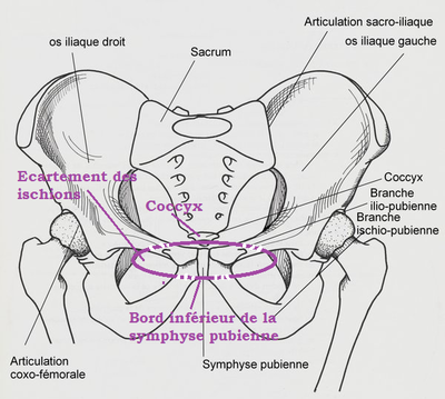 Détroit inférieur.png
