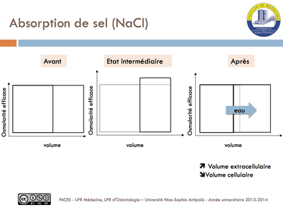 Capture d’écran 2014-03-13 à 11.25.15.png
