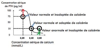 graph calcémie.png