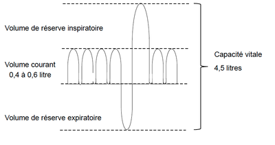 Capture d’écran 2014-03-13 à 23.30.51.png