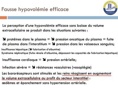 Fausse hypovolémie efficace.png