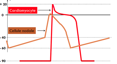Capture d’écran 2014-03-18 à 21.52.59.png