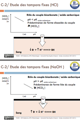 Etudes des tampons fixes.png