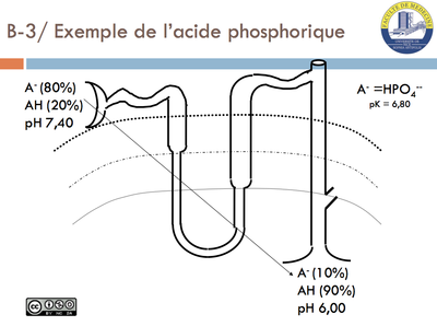 Exemple de l'acide phosphorique.png