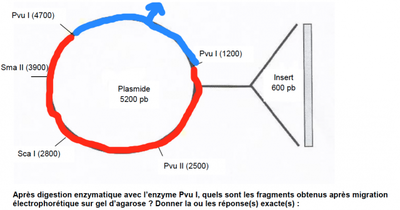 230190Capturedcran20140322131854 - copie.png