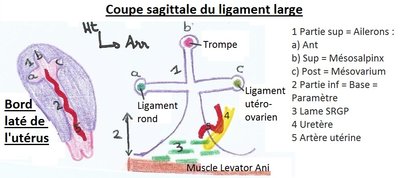 Scan0005 - Copie (3).jpg
