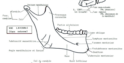 Capture d’écran 2014-03-26 à 22.47.36.png