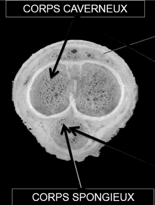 Capture d’écran 2014-03-28 à 09.56.15.png