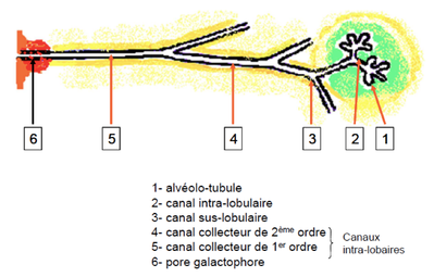 Capture d’écran 2014-03-29 à 09.58.23.png