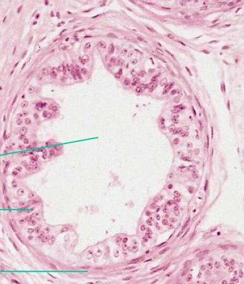 Capture d’écran 2014-03-29 à 13.09.24.png