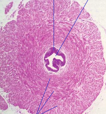 Capture d’écran 2014-03-29 à 13.12.12.png