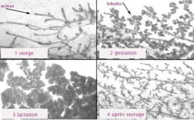Capture d’écran 2014-03-29 à 13.14.10.png
