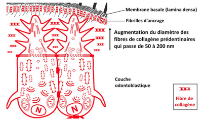 Capture d’écran.png