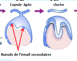 Capture d’écran 2014-03-29 à 23.41.59.png