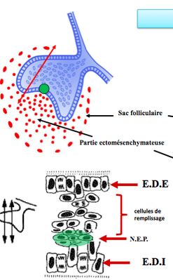 Capture d’écran 2014-03-31 à 11.27.52.png