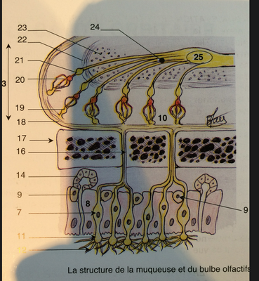 Capture d’écran 2014-03-31 à 17.08.48.png