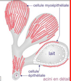 Capture d’écran 2014-04-01 à 11.30.08.png