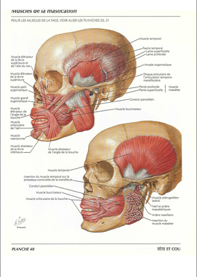 Capture d’écran 2014-04-06 à 10.30.39.png