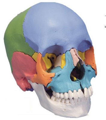 2014 04 01 Résultats UE12s.jpg