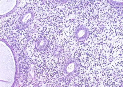 Capture d’écran 2014-04-08 à 16.48.28.png