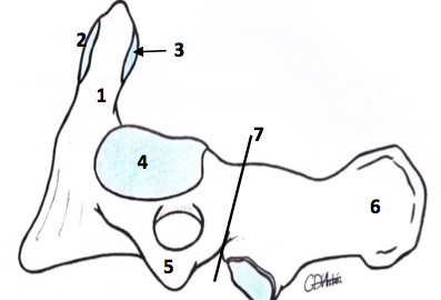 Capture d’écran 2014-04-09 à 16.43.52.png