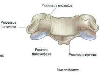Capture d’écran 2014-04-15 à 10.45.34.png