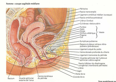 Capture d’écran 2014-04-16 à 14.33.59.png