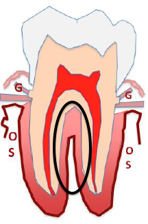 Capture d’écran 2014-04-17 à 15.50.03.png