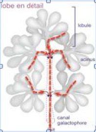 Capture d’écran 2014-04-19 à 09.01.00.png