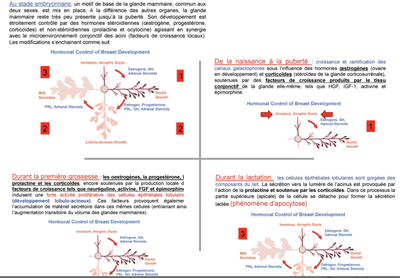 Capture d’écran 2014-04-22 à 20.59.33.png