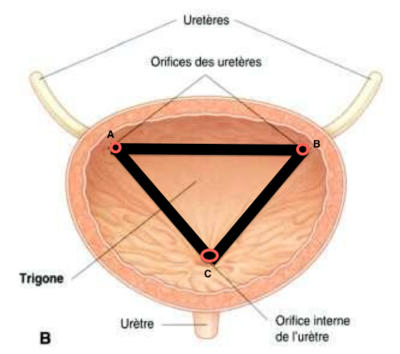 Capture d’écran 2014-04-22 à 22.18.38.png