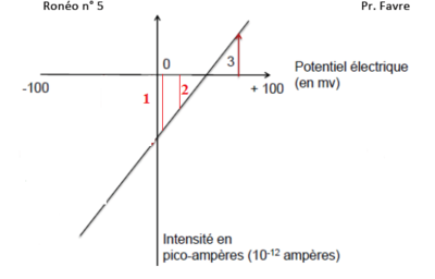 relation intensité voltage.PNG