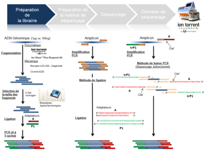 Workflow-sequencage-PGM_Preparation-de-la-librairie3.png