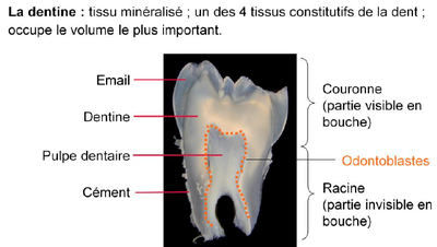 Capture d’écran 2014-05-04 à 14.26.50.png