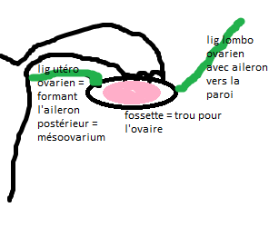 Sans titre.png