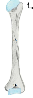 Capture d’écran 2014-05-13 à 13.46.44.png