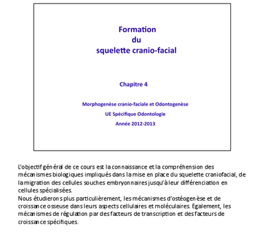Capture d’écran 2014-07-28 à 13.15.59.png