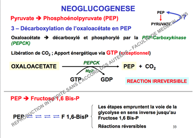 Capture d’écran 2014-08-11 à 16.15.08.png