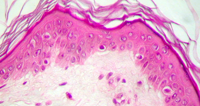 Capture d’écran 2014-08-22 à 18.56.53.png